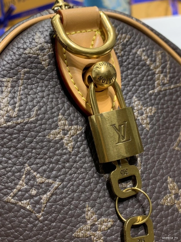 WIS Speedy 25 LOUIS  VUITTON Bandoulière P9 0726